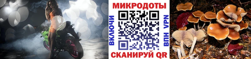 купить наркотик  это телеграм  гидра маркетплейс  Галлюциногенные грибы MAGIC MUSHROOMS  Кондрово 